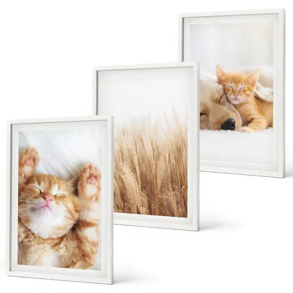 Wanddecoratieset schilderijen met schattige katten en honden in boho stijl