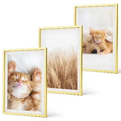 Wanddecoratieset schilderijen met schattige katten en honden in boho stijl