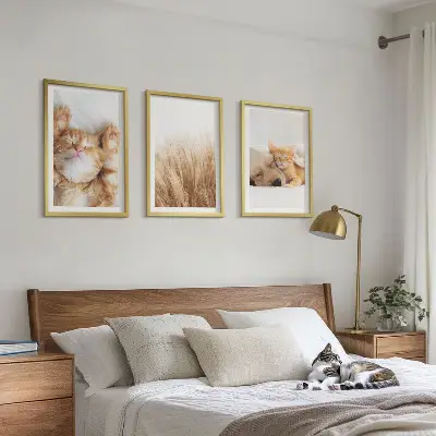 Wanddecoratieset schilderijen met schattige katten en honden in boho stijl