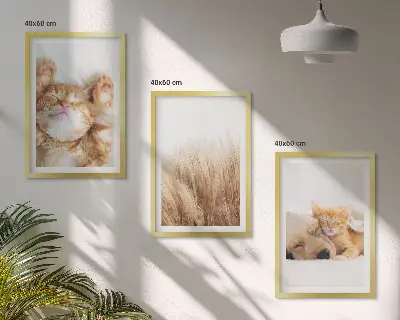 Wanddecoratieset schilderijen met schattige katten en honden in boho stijl