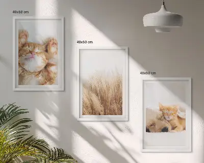 Wanddecoratieset schilderijen met schattige katten en honden in boho stijl