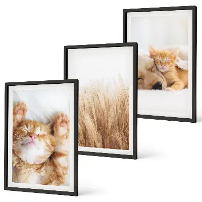 Wanddecoratieset schilderijen met schattige katten en honden in boho stijl
