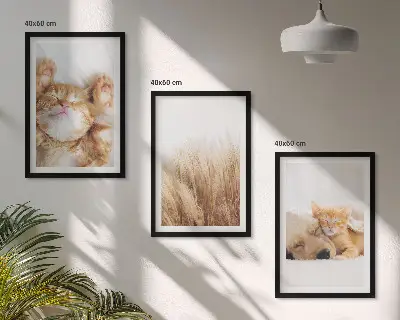 Wanddecoratieset schilderijen met schattige katten en honden in boho stijl