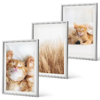 Wanddecoratieset schilderijen met schattige katten en honden in boho stijl