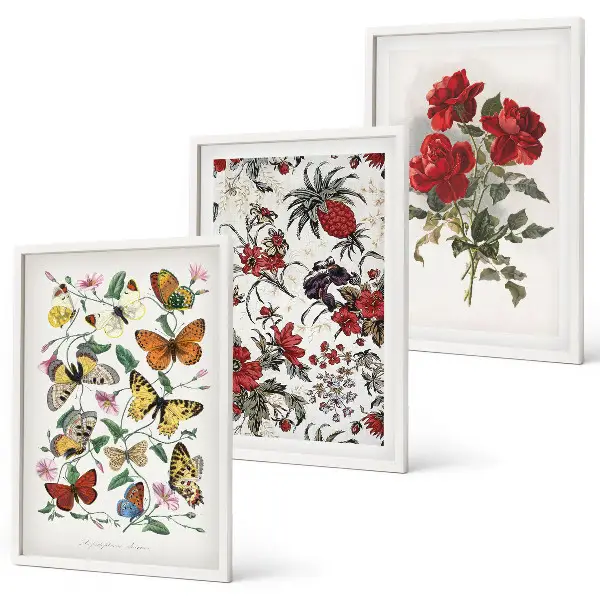 Wanddecoratie set schilderijen met afbeeldingen van vlinders, bloemen en rode rozen