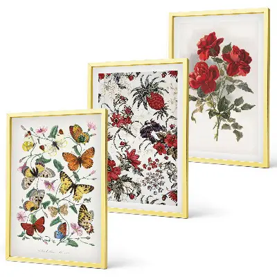 Wanddecoratie set schilderijen met afbeeldingen van vlinders, bloemen en rode rozen
