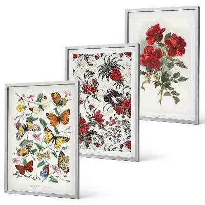 Wanddecoratie set schilderijen met afbeeldingen van vlinders, bloemen en rode rozen