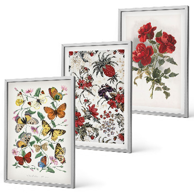 Wanddecoratie set schilderijen Vlinders, bloemen, rode rozen