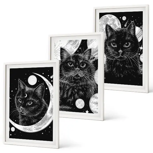 Fotowand Zwarte katten, maan en ruimte