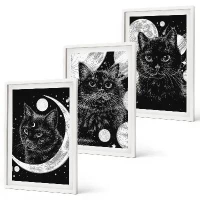 Fotowand Zwarte katten, maan en ruimte
