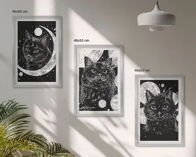 Fotowand Zwarte katten, maan en ruimte
