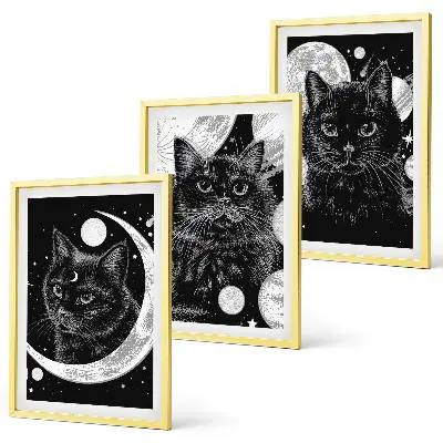 Fotowand Zwarte katten, maan en ruimte