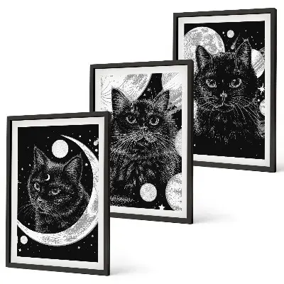 Fotowand Zwarte katten, maan en ruimte