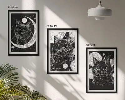 Fotowand Zwarte katten, maan en ruimte