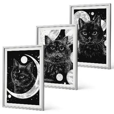 Fotowand Zwarte katten, maan en ruimte