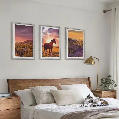 Wanddecoratie set schilderijen Berglandschap met een paard