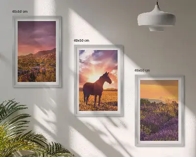 Wanddecoratie set schilderijen Berglandschap met een paard