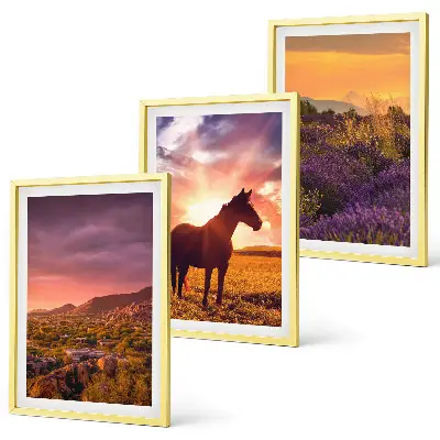 Wanddecoratie set schilderijen Berglandschap met een paard