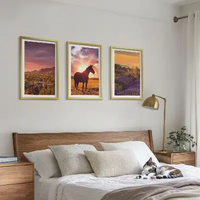 Wanddecoratie set schilderijen Berglandschap met een paard