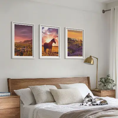 Wanddecoratie set schilderijen Berglandschap met een paard
