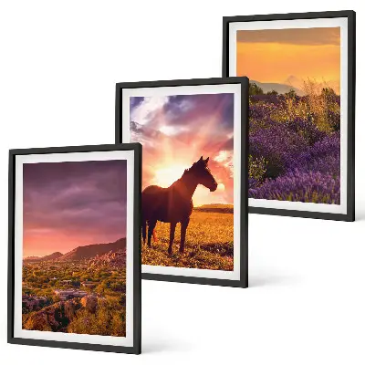 Wanddecoratie set schilderijen Berglandschap met een paard