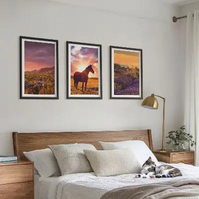 Wanddecoratie set schilderijen Berglandschap met een paard