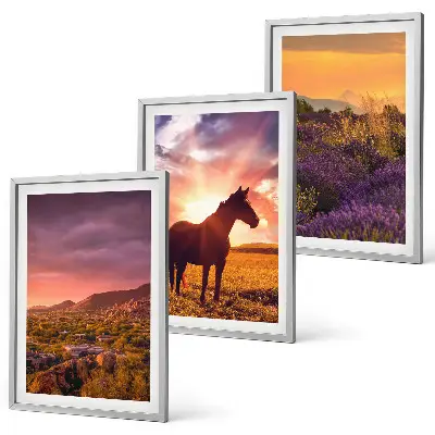 Wanddecoratie set schilderijen Berglandschap met een paard
