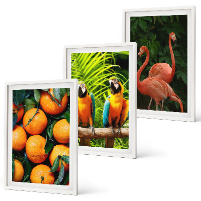 Wanddecoratie set schilderijen Fruitige accenten in de tropen
