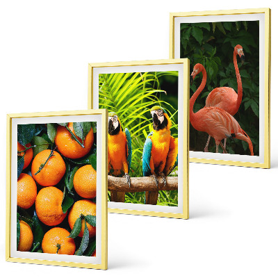Wanddecoratie set schilderijen Fruitige accenten in de tropen
