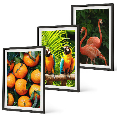 Wanddecoratie set schilderijen Fruitige accenten in de tropen