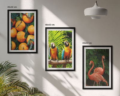 Wanddecoratie set schilderijen Fruitige accenten in de tropen