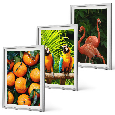 Wanddecoratie set schilderijen Fruitige accenten in de tropen