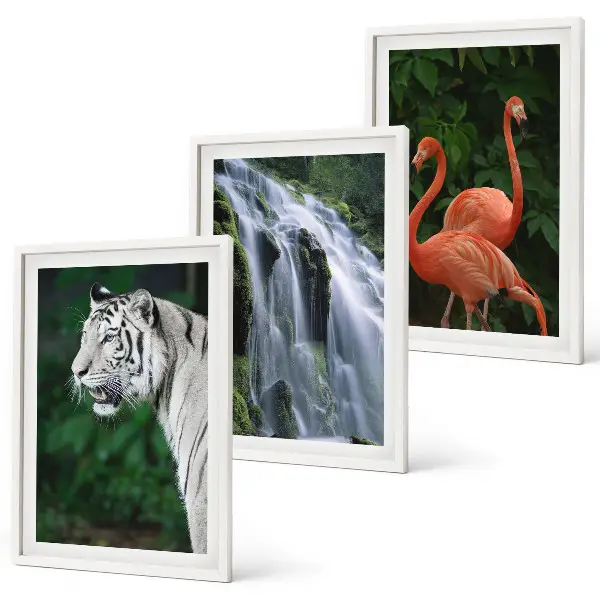 Fotowand met tijger, waterval en flamingo's in de natuur