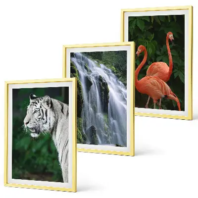 Fotowand met tijger, waterval en flamingo's in de natuur