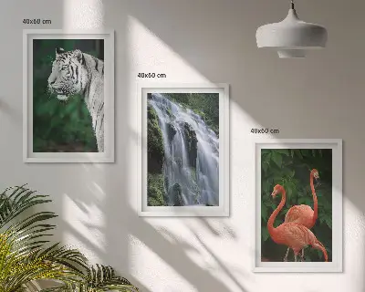 Fotowand met tijger, waterval en flamingo's in de natuur