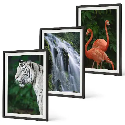 Fotowand met tijger, waterval en flamingo's in de natuur