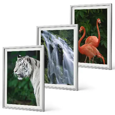Fotowand met tijger, waterval en flamingo's in de natuur