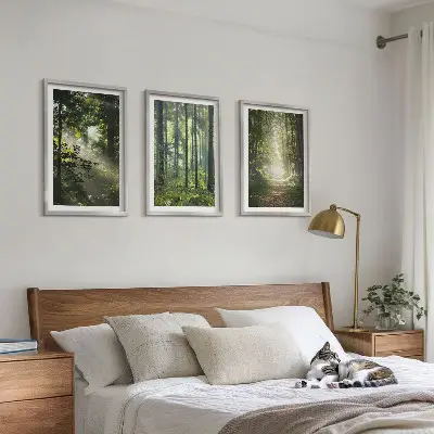 Fotowand Groene bossen met lichtstralen