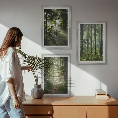 Fotowand Groene bossen met lichtstralen