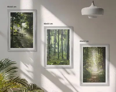 Fotowand Groene bossen met lichtstralen