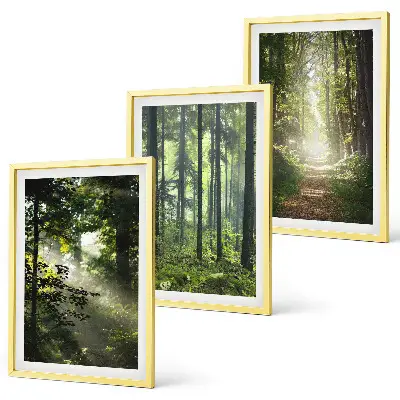 Fotowand Groene bossen met lichtstralen