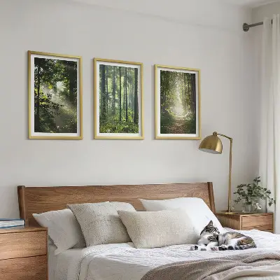 Fotowand Groene bossen met lichtstralen