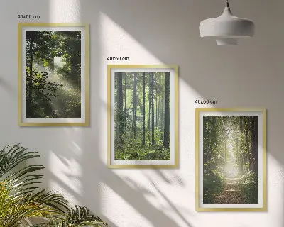 Fotowand Groene bossen met lichtstralen