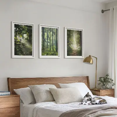Fotowand Groene bossen met lichtstralen