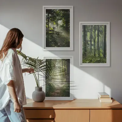 Fotowand Groene bossen met lichtstralen