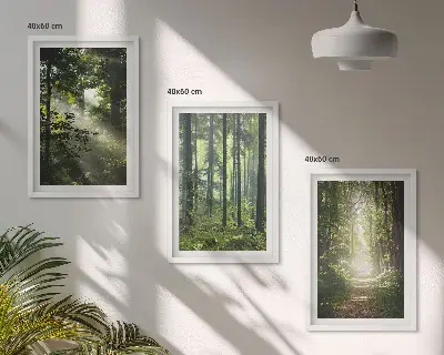 Fotowand Groene bossen met lichtstralen