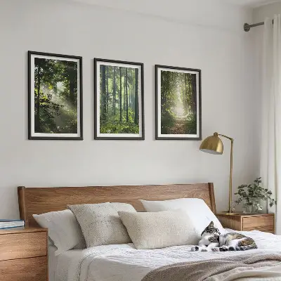 Fotowand Groene bossen met lichtstralen