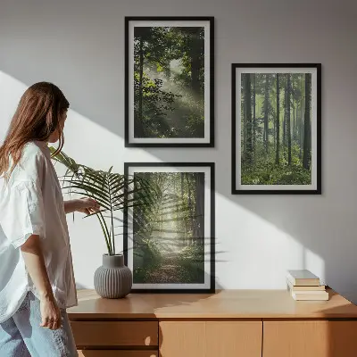 Fotowand Groene bossen met lichtstralen