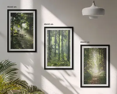 Fotowand Groene bossen met lichtstralen