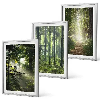 Fotowand Groene bossen met lichtstralen